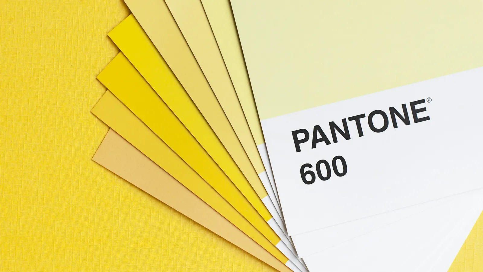 Colour Theory Basics for Non-Designers (2026)