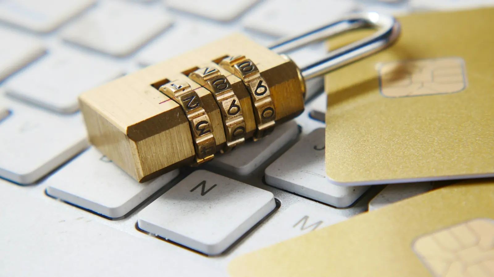 Website Design Company in Mumbai: What Growing Businesses Should Look For